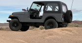 Annonce Jeep CJ occasion Essence CJ � LYON