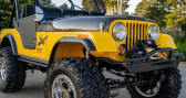 Annonce Jeep CJ occasion Essence CJ � LYON