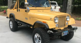 Jeep CJ occasion  année 1982  Annonce Jeep CJ occasion Essence CJ à LYON