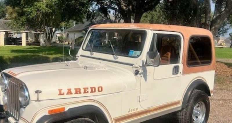 Jeep CJ CJ 1984 - photo n°5 Jeep CJ CJ  occasion à LYON - photo n°5
