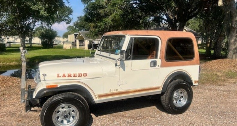 Jeep CJ CJ 1984 - photo n°4 Jeep CJ CJ  occasion à LYON - photo n°4