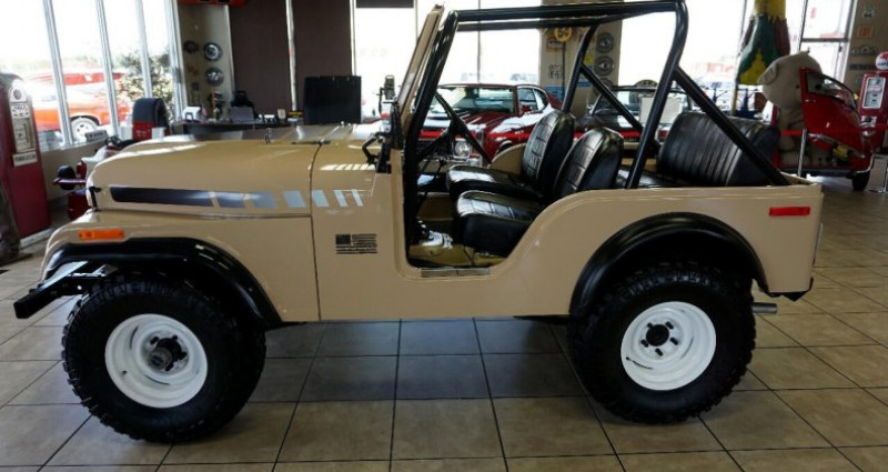 Jeep CJ CJ 1974 - photo n°4 Jeep CJ CJ  occasion à LYON - photo n°4