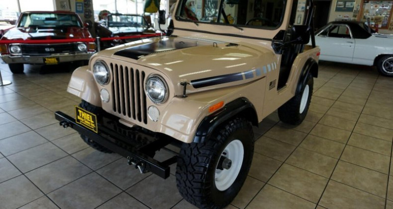Jeep CJ CJ 1974 - photo n°3 Jeep CJ CJ  occasion à LYON - photo n°3