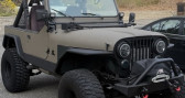 Annonce Jeep CJ occasion Essence CJ  LYON