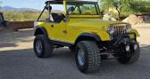 Jeep CJ CJ   LYON 69