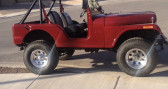 Annonce Jeep CJ occasion Essence CJ  LYON