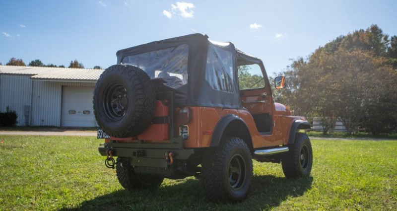 Jeep CJ CJ 1976 - photo n°4 Jeep CJ CJ  occasion à LYON - photo n°4