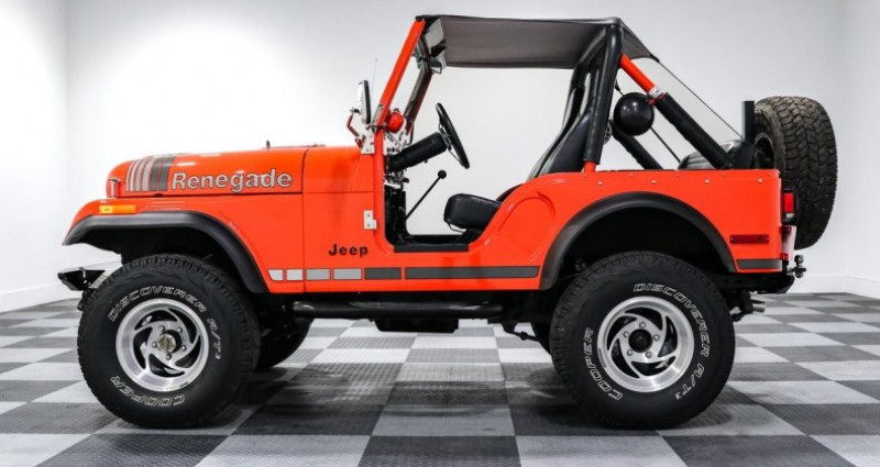 Jeep CJ CJ 1977 - photo n°4 Jeep CJ CJ  occasion à LYON - photo n°4