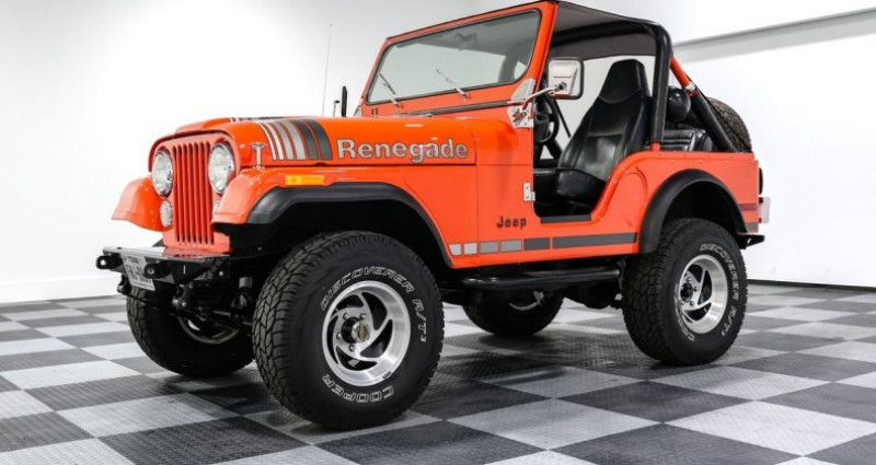 Jeep CJ CJ 1977 - photo n°3 Jeep CJ CJ  occasion à LYON - photo n°3