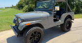 Jeep CJ CJ   LYON 69