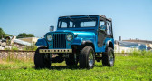 Jeep CJ CJ   LYON 69