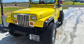 Annonce Jeep CJ occasion Essence CJ  LYON