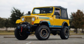 Annonce Jeep CJ occasion Essence CJ  LYON