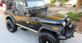 Annonce Jeep CJ occasion Essence CJ  LYON