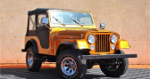 Annonce Jeep CJ occasion Essence V8 5.0 304  Croix En Ternois