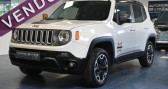 Jeep Renegade 2.0 I MultiJet S&S 170 ch Active Drive BVA9 Trailhawk   ST SATURNIN 72