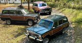 Jeep Wagoneer occasion année 1984 Annonce Jeep Wagoneer occasion Essence à LYON