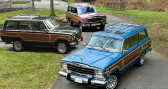 Annonce Jeep Wagoneer occasion Essence   LYON