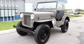 Annonce Jeep Willis occasion Essence   LYON