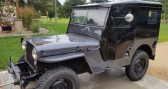 Annonce Jeep Willis occasion Essence CJ2A  LYON