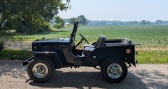 Jeep Willis cj3b   LYON 69