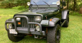 Jeep Wrangler occasion année 1995 Annonce Jeep Wrangler occasion Essence à LYON