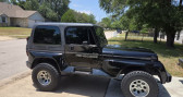 Jeep Wrangler    LYON 69