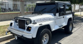 Jeep Wrangler occasion année 1991 Annonce Jeep Wrangler occasion Essence à LYON