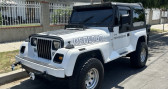 Jeep Wrangler    LYON 69