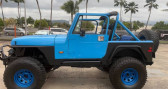 Annonce Jeep Wrangler occasion Essence  à LYON