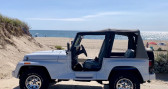 Annonce Jeep Wrangler occasion Essence   LYON