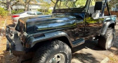 Annonce Jeep Wrangler occasion Essence   LYON