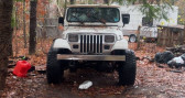 Annonce Jeep Wrangler occasion Essence  � LYON
