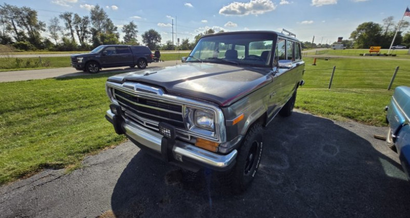 Jeep Wrangler  1991 Jeep Wrangler   occasion à LYON