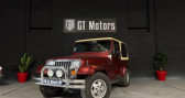 Jeep Wrangler YJ 4.0   ROYAN 17