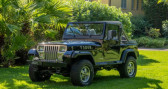 Jeep Wrangler YJ YUKON 4.0  1991 - annonce de voiture en vente sur Auto Sélection.com