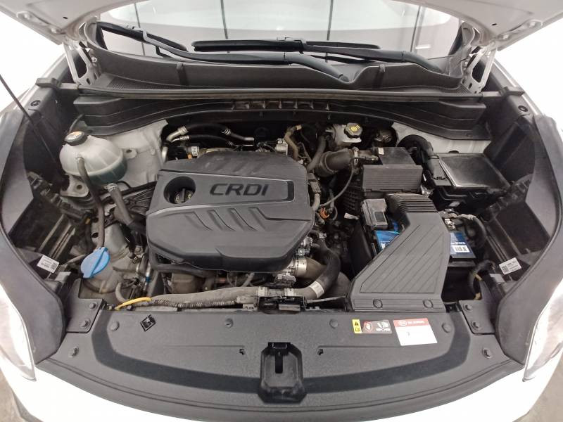 Kia Sportage 1.6 CRDi 115 4x2 BVM6 MHEV Active Business  occasion  Bruges - photo n11