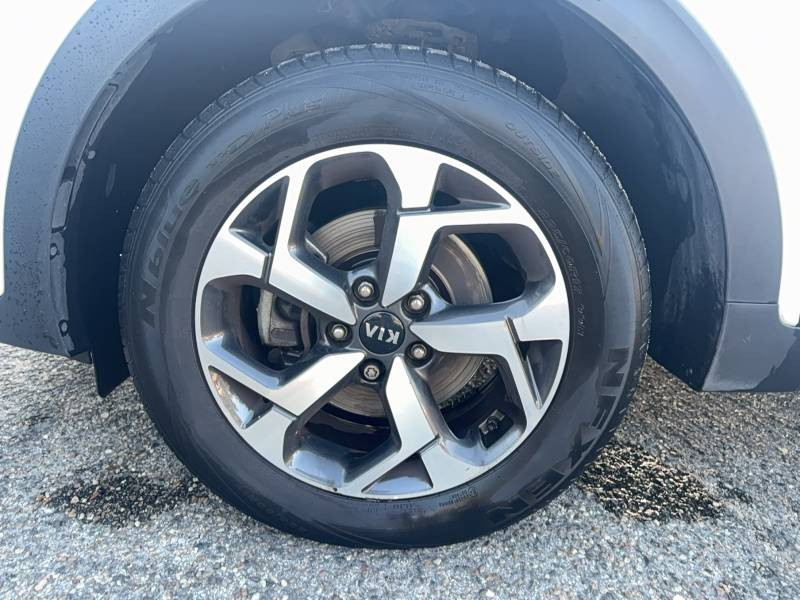 Kia Sportage 1.6 CRDi 115 4x2 BVM6 MHEV Active  occasion  Libourne - photo n9