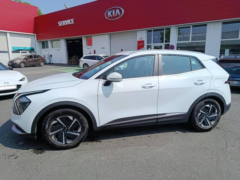 Kia Sportage 1.6 CRDi 136ch MHEV Active DCT7 4x2  occasion  MACON - photo n8