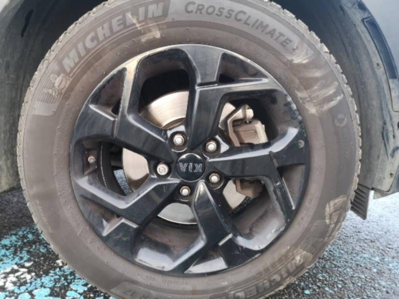 Kia Sportage 1.6 CRDi 136ch MHEV Black Edition 4x2  occasion  Saint-Maximin - photo n12