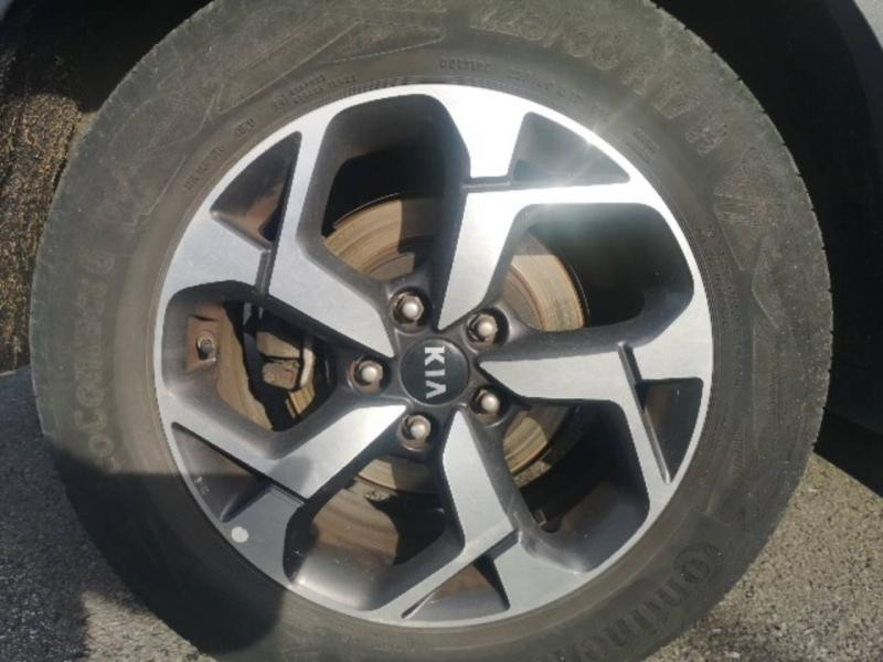 Kia Sportage 1.6 CRDi 136ch MHEV Black Edition 4x2  occasion � Saint-Maximin - photo n�11