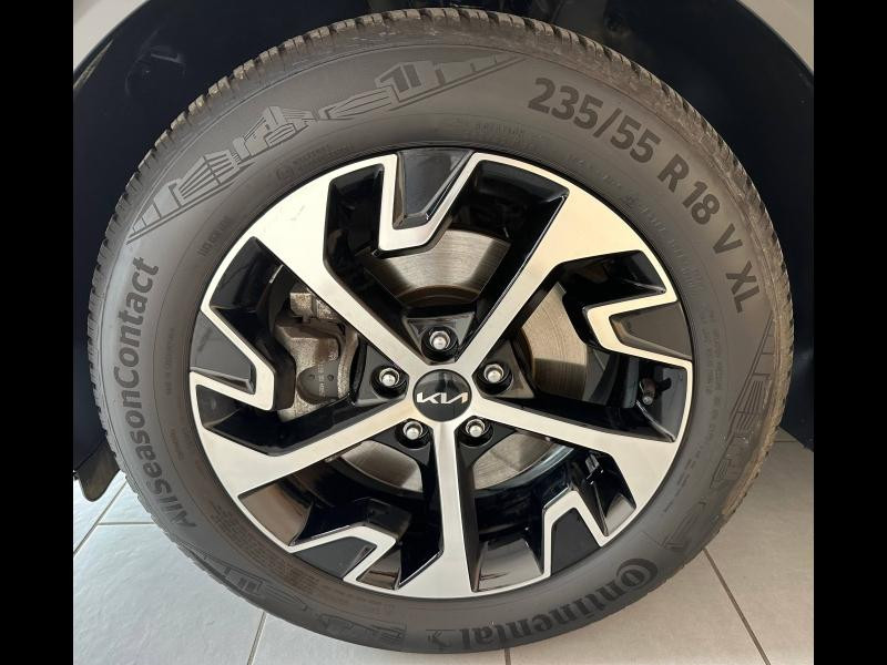 Kia Sportage 1.6 CRDi 136ch MHEV Design DCT7 4x2  occasion  Auxerre - photo n9