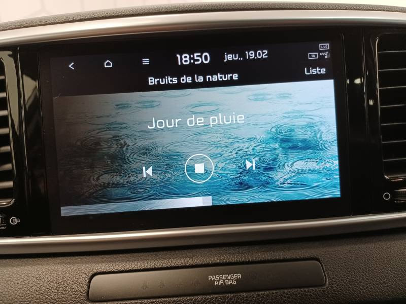 Kia Sportage 1.6 CRDi 136ch MHEV ISG DCT7 4x2 Black Edition  occasion � Limoges - photo n�18
