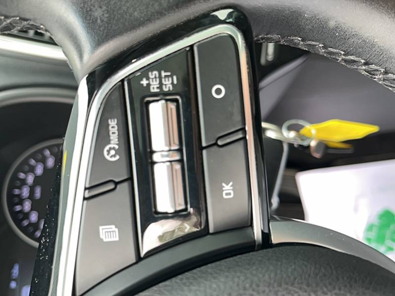 Kia Sportage 1.6 CRDi 136ch MHEV ISG DCT7 4x2 Black Edition  occasion � Libourne - photo n�16