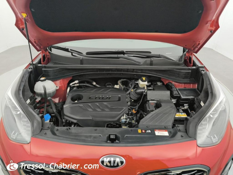 Kia Sportage 1.6 CRDi 136ch MHEV ISG DCT7 4x2 GT Line Premium  occasion  Carcassonne - photo n7