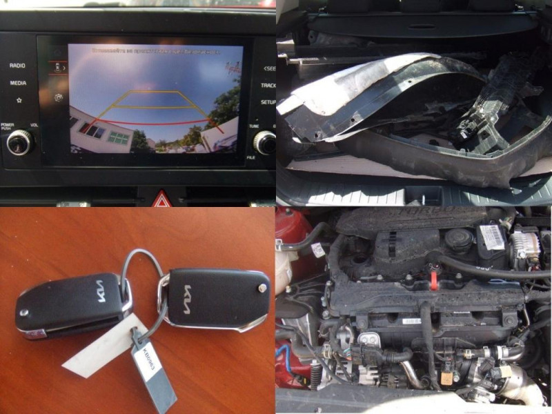 Kia Sportage 1.6 T-GDi 150ch MHEV BVA 4x2  occasion � L'Union - photo n�15