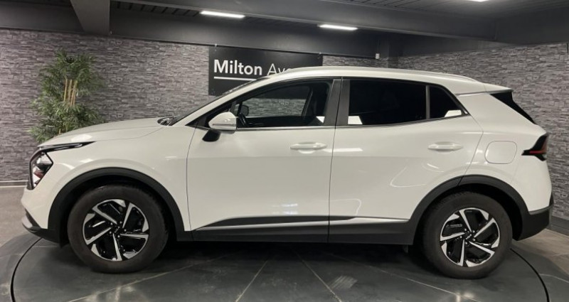 Kia Sportage 1.6 T-GDi MHEV - 150 - IBVM6 - 4x2 V Design  occasion  GUERET - photo n2