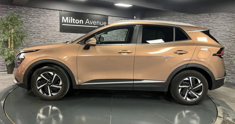 Kia Sportage 1.6 T-GDi MHEV - 150 - IBVM6 Motion  occasion  GUERET - photo n2