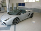 Lamborghini gallardo occasion Gris année 2008 boite Automatique Annonce Lamborghini gallardo occasion Essence Spyder 5.0 V10 520 ch à BEAUPUY