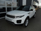 Land rover Range Rover Evoque occasion Blanc année 2018 boite Manuelle Annonce Land rover Range Rover Evoque occasion Diesel ED4 150 à Beaupuy